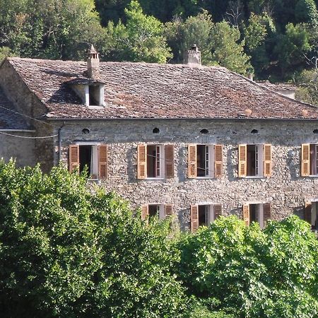 Chambre d'Hôtes La Marlotte Castello-di-Rostino Exterior foto