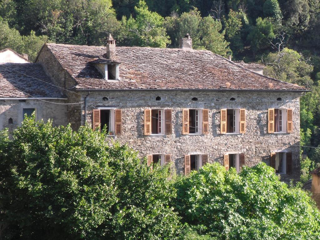 Chambre d'Hôtes La Marlotte Castello-di-Rostino Exterior foto