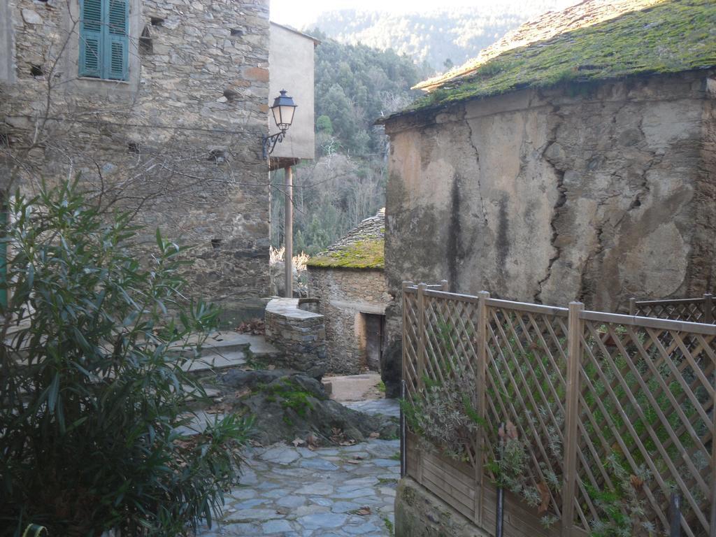 Chambre d'Hôtes La Marlotte Castello-di-Rostino Exterior foto